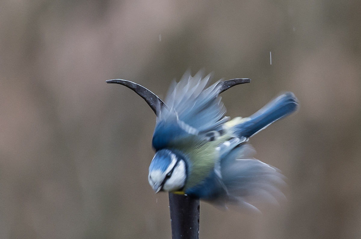 Abflug.jpg