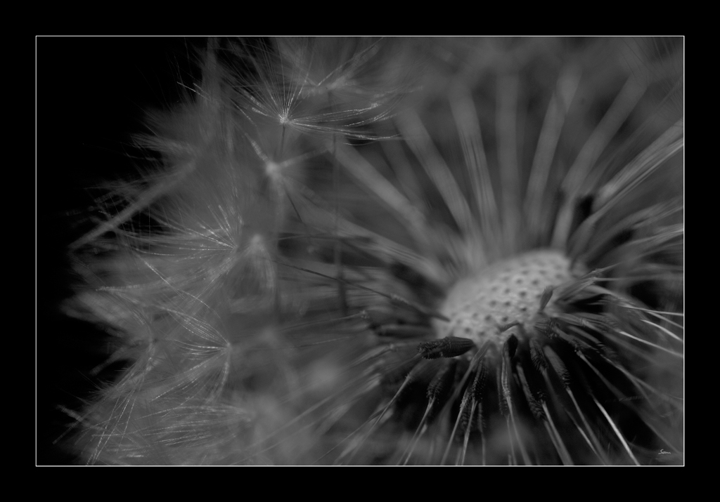 AbflugDSC 0063