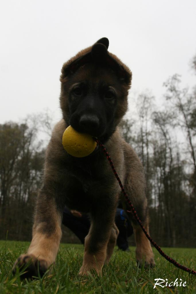 Abocci mit Ball