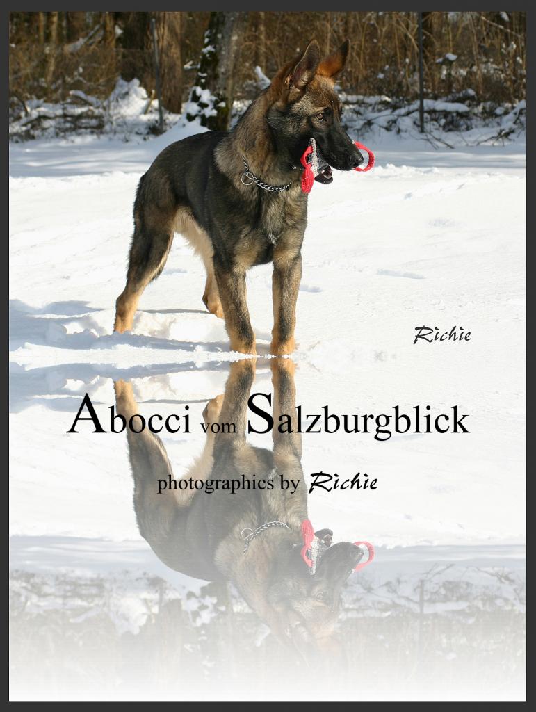 Abocci spielt