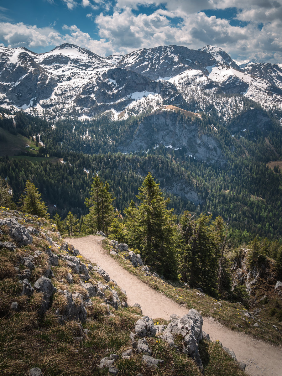 Above the Path