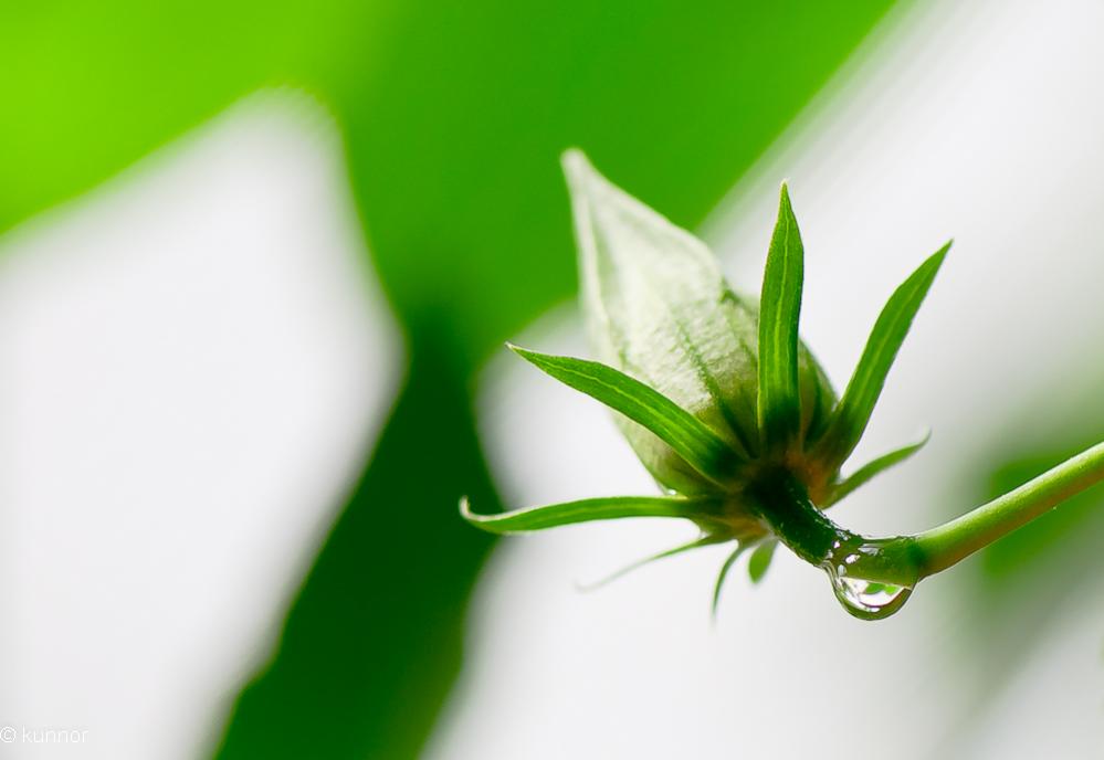 Abschied vom Regen