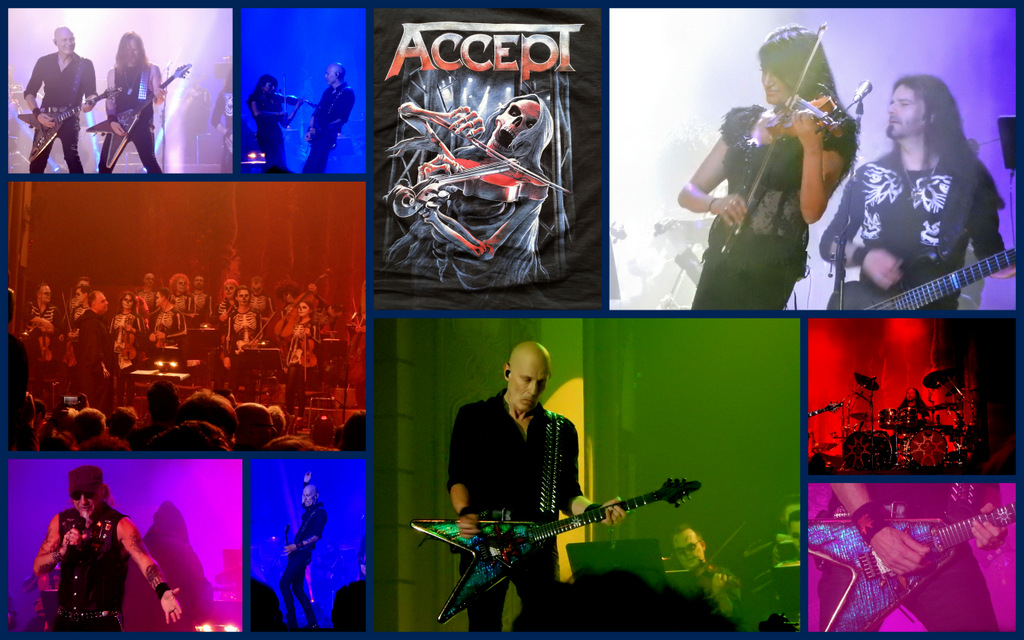 Accept -009.jpg
