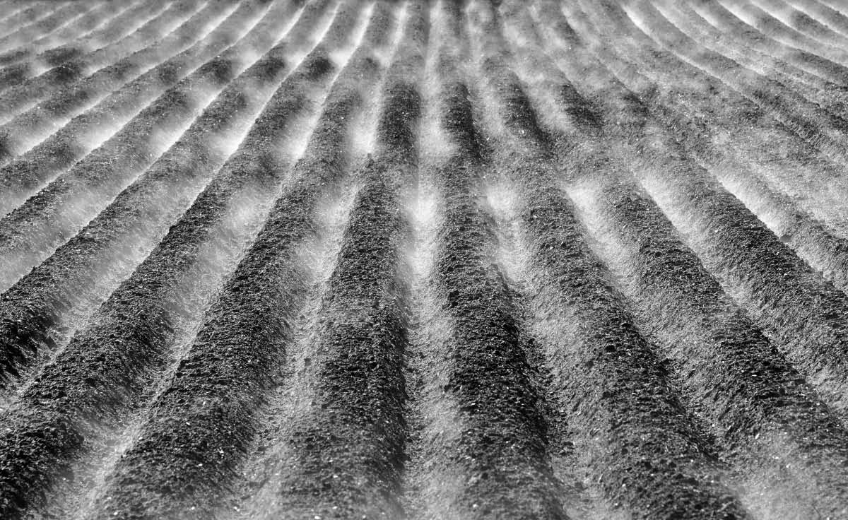 Ackernebel 3 BW.jpg