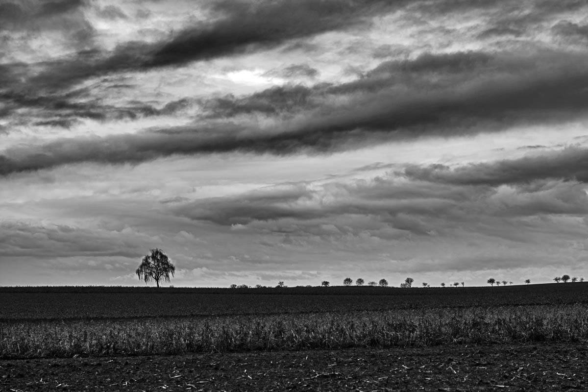 Ackerwolken BW_2.jpg