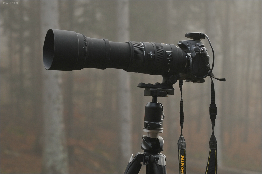 acomp Bayrischer Wald 0064