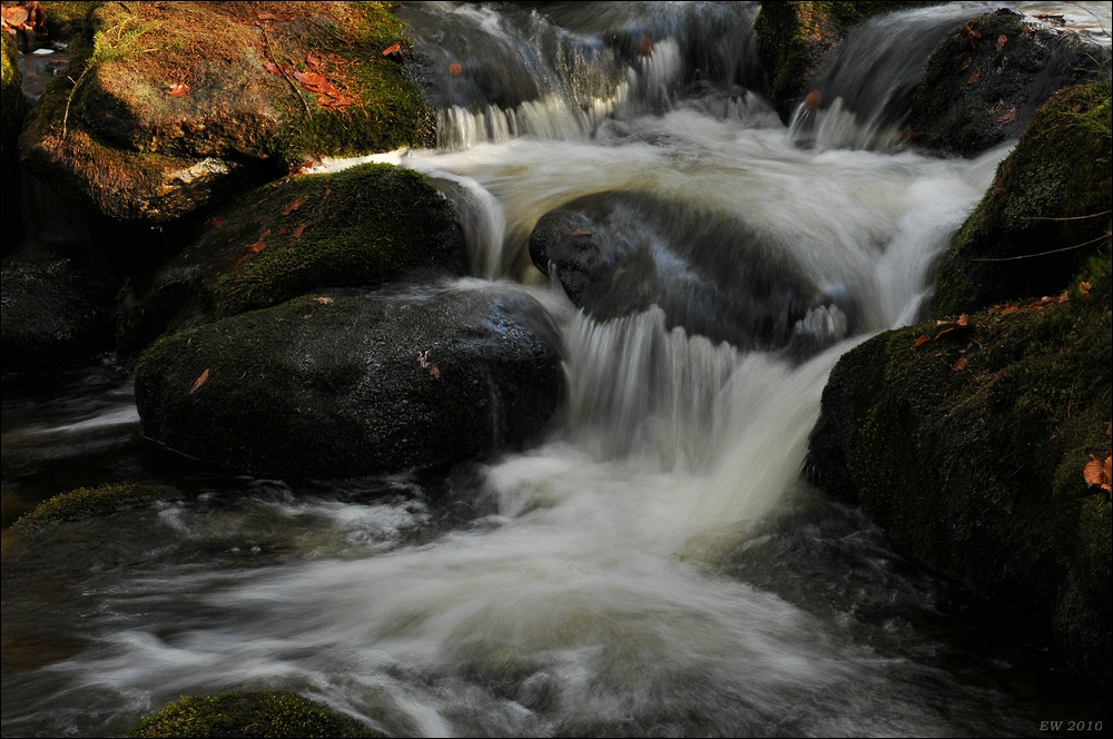 acomp Bayrischer Wald 0748
