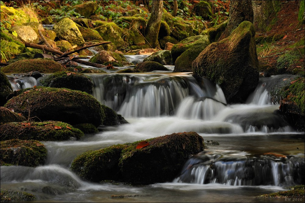 acomp Bayrischer Wald 0908