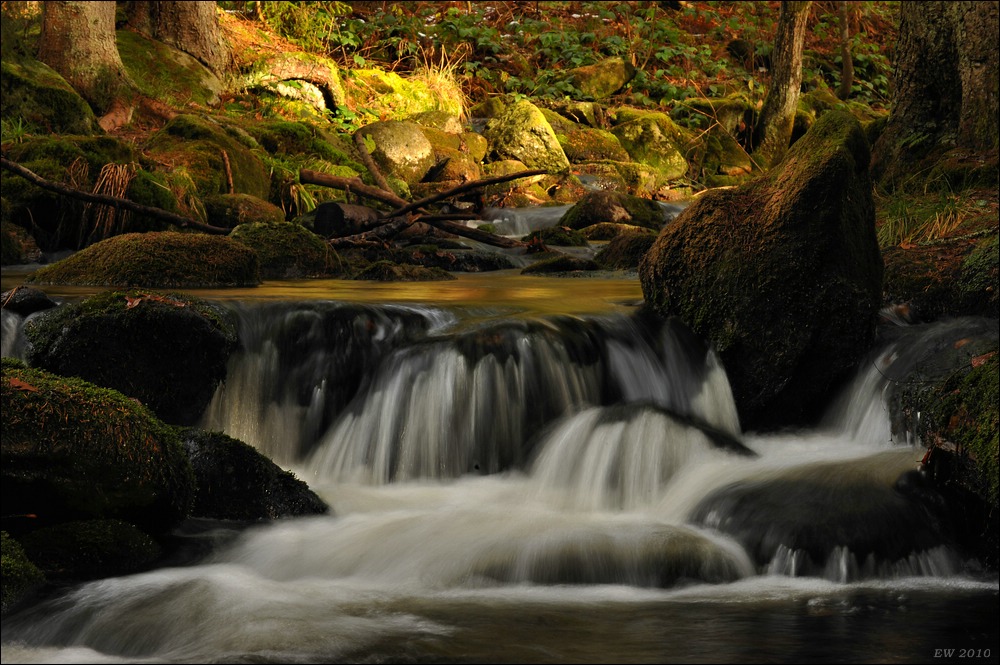 acomp Bayrischer Wald 0933