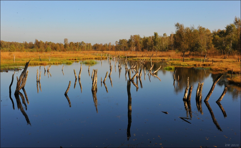 acomp duvens.brook 0543