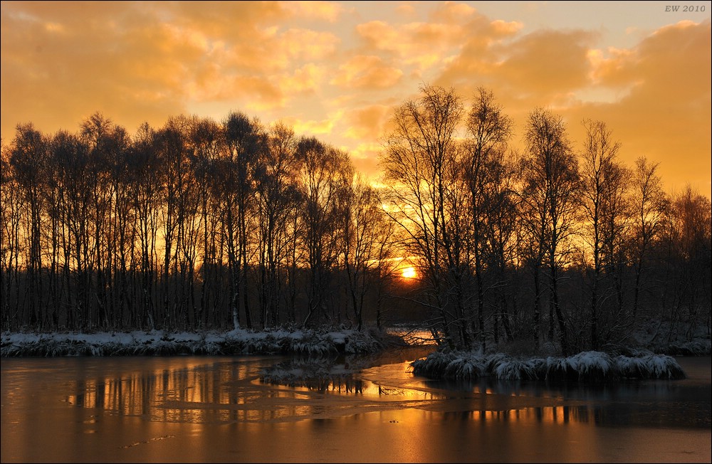 acomp Hasenmoor 0208