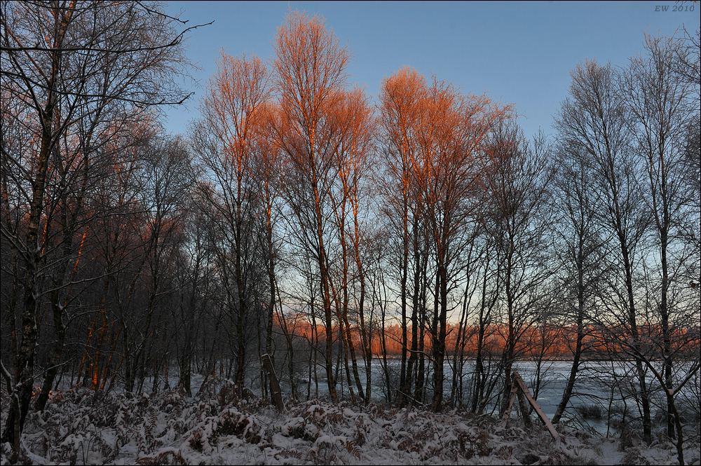 acomp Hasenmoor 0223