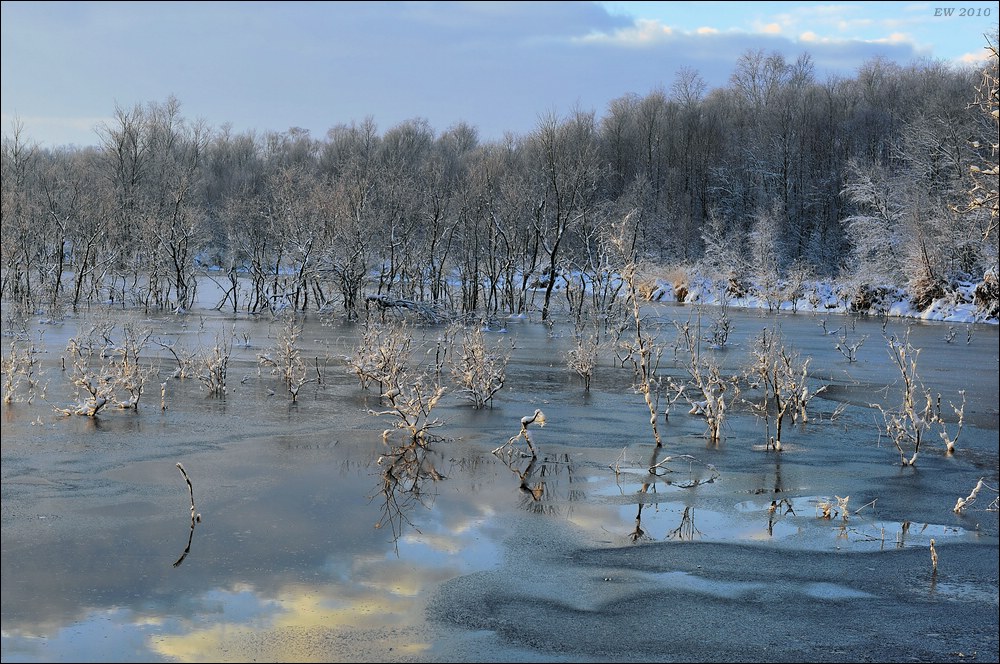 acomp Hasenmoor 0437