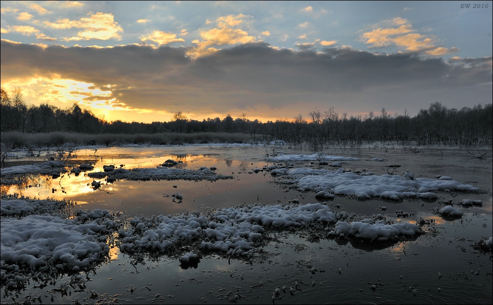 acomp Hasenmoor 0456