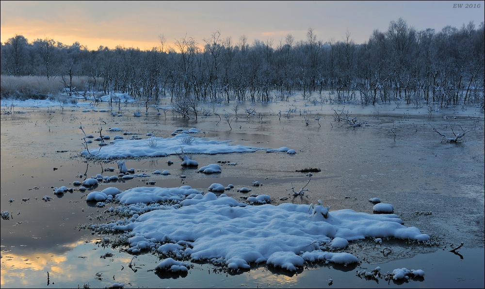 acomp Hasenmoor 0505