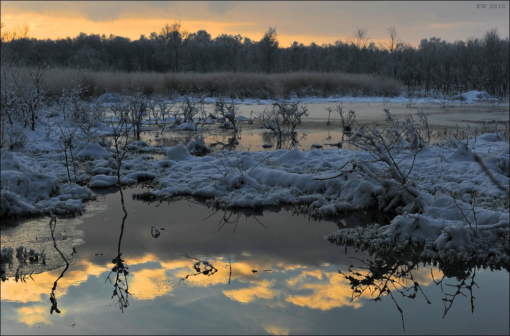 acomp Hasenmoor 0607