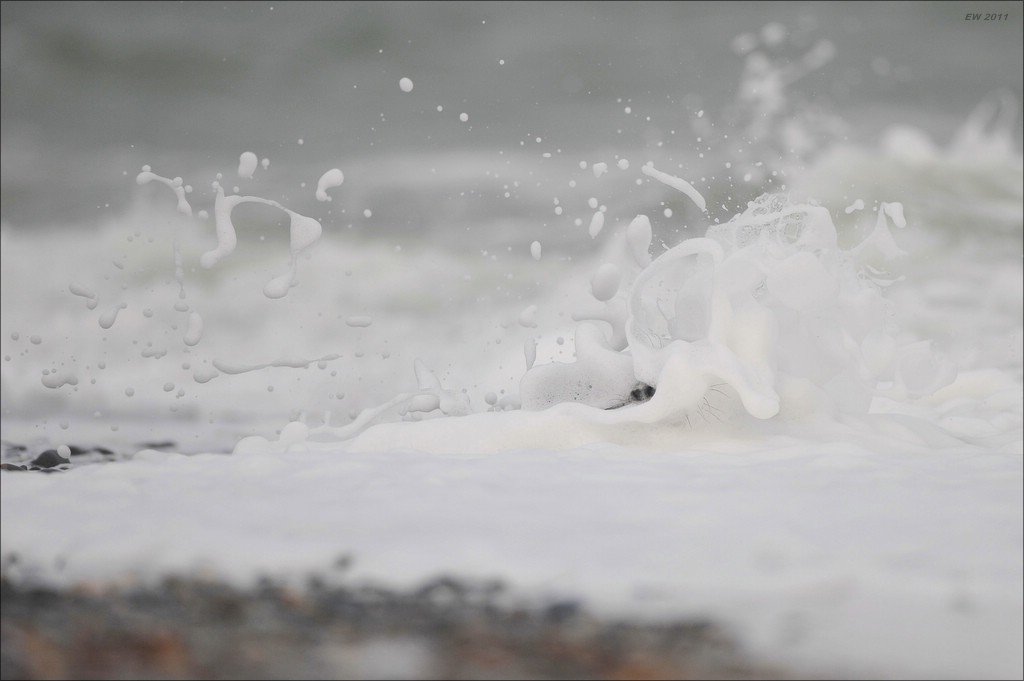 acomp Helgoland 20111231 6627