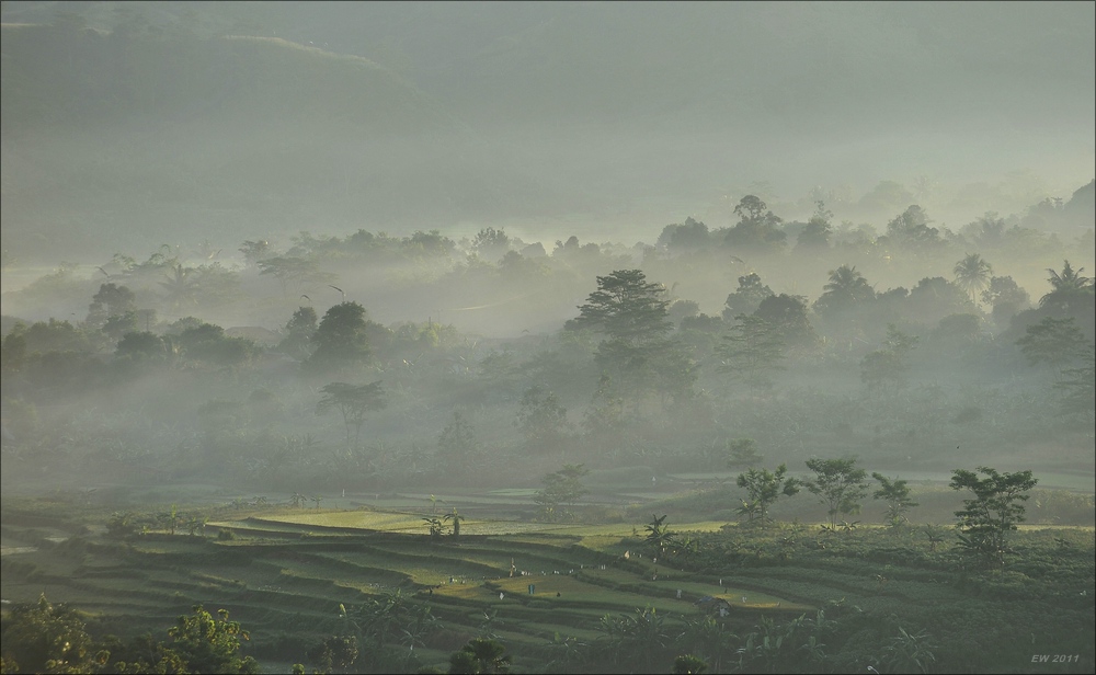 acomp indonesia 20110604 00097