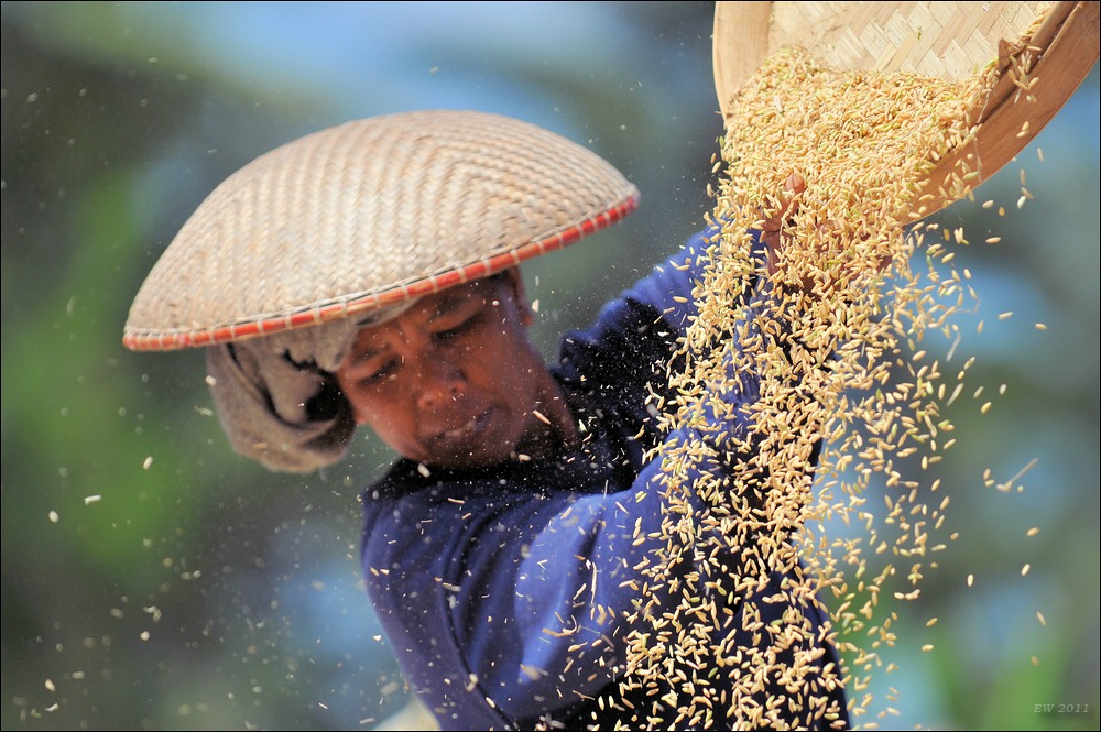 acomp indonesia 20110607 01846