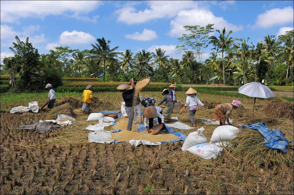 acomp indonesia 20110607 02331