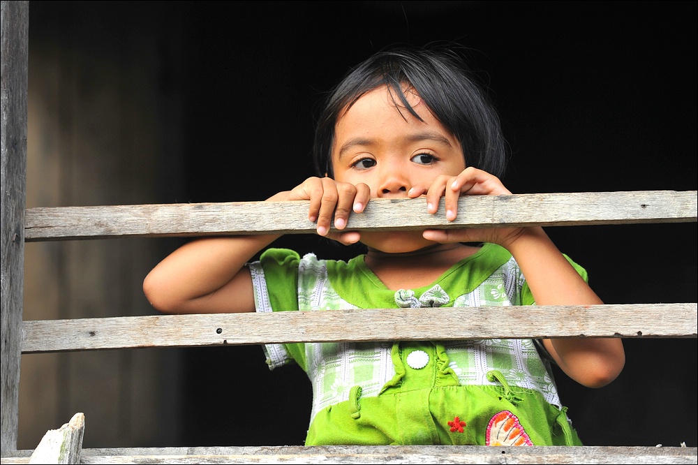 acomp indonesia 20110611 07129