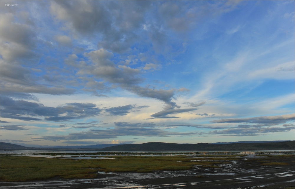 acomp Kenia 20111012 04573