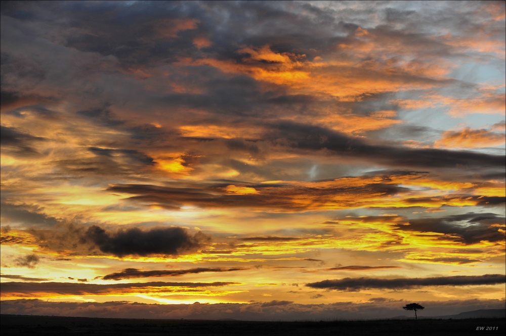 acomp Kenia 20111015 09232