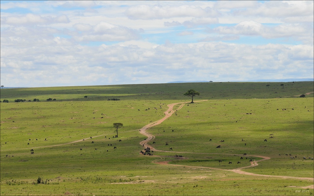acomp Kenia 20111015 12214