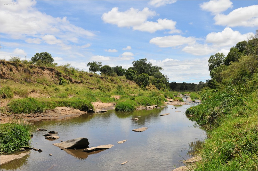 acomp Kenia 20111015 12502