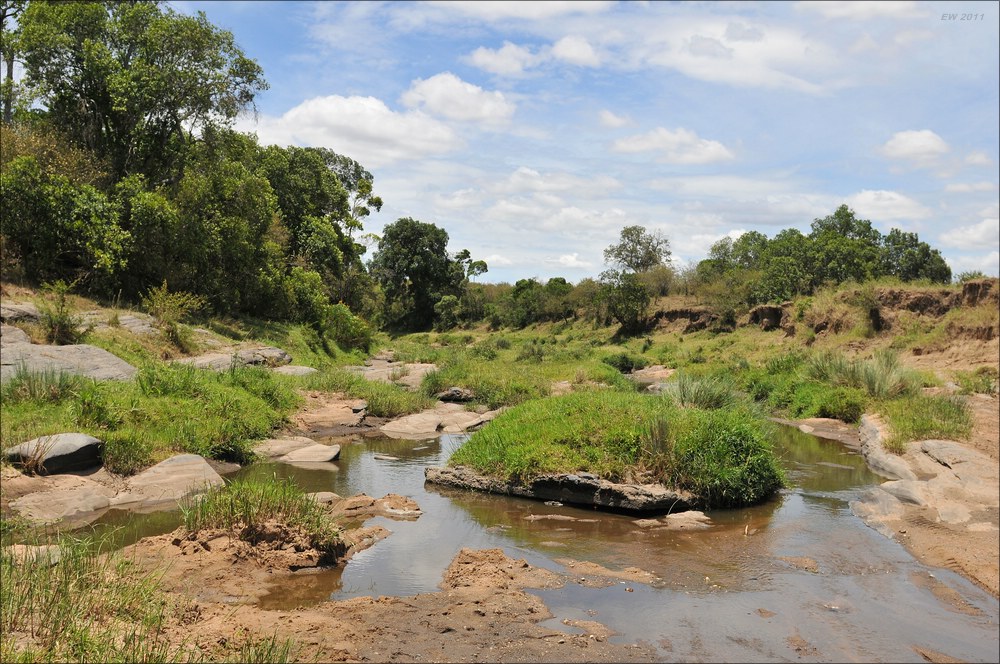 acomp Kenia 20111015 12505