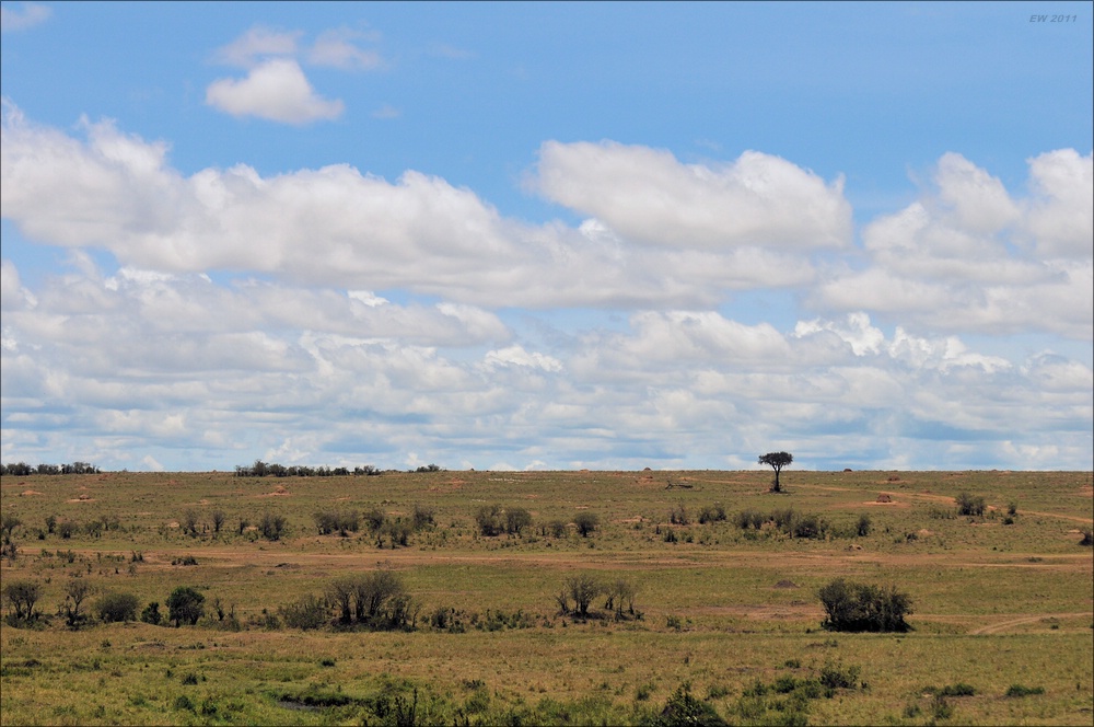 acomp Kenia 20111016 14329