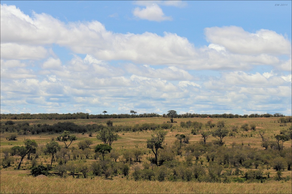 acomp Kenia 20111016 14331