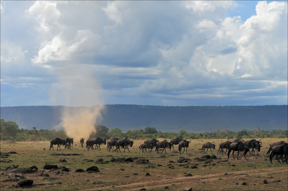 acomp Kenia 20111017 17234