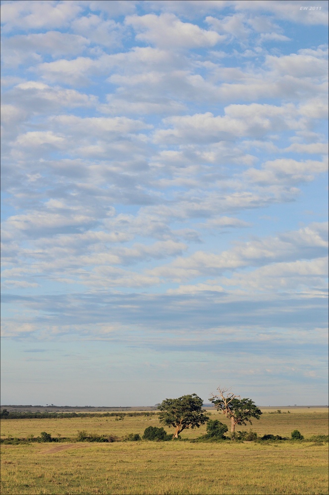 acomp Kenia 20111018 19311