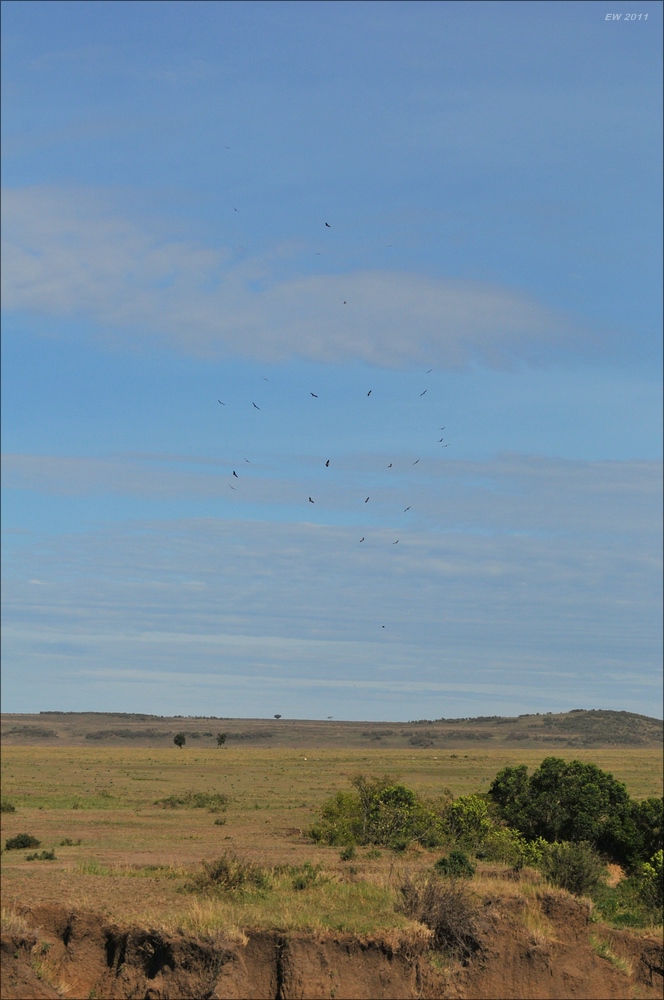 acomp Kenia 20111018 19436
