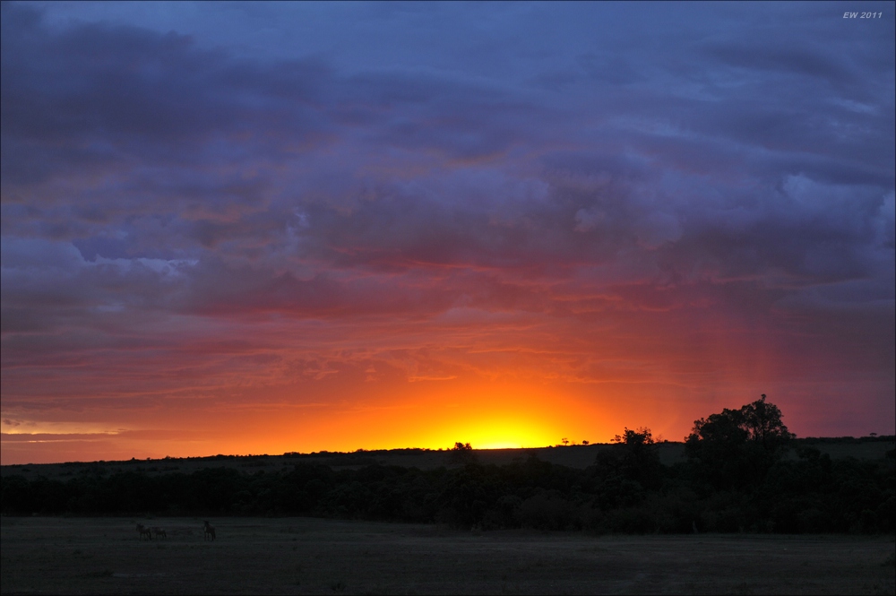 acomp Kenia 20111018 20684a
