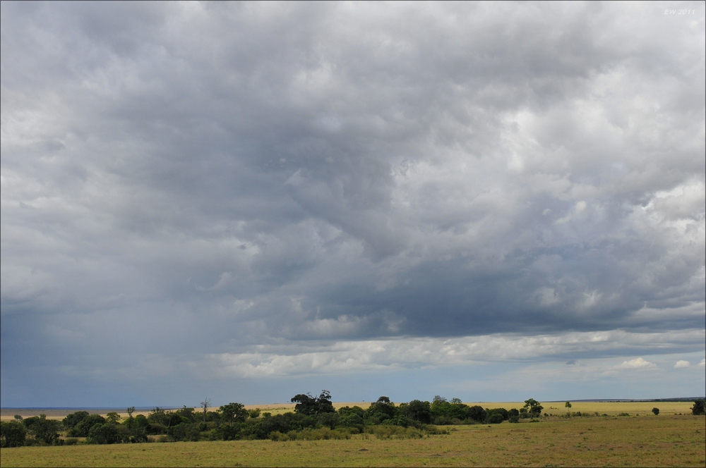 acomp Kenia 20111018 20730