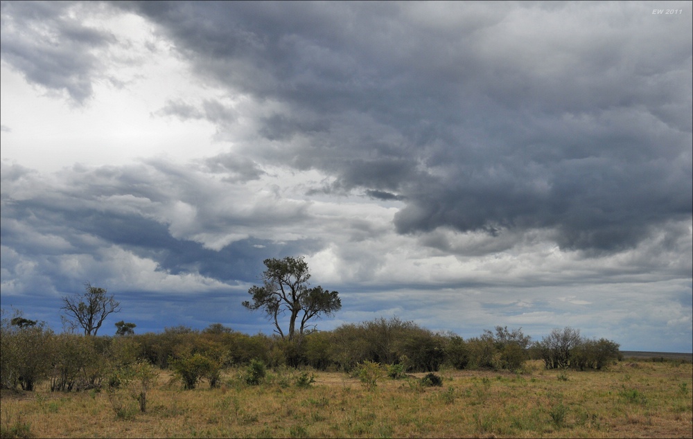 acomp Kenia 20111018 20895