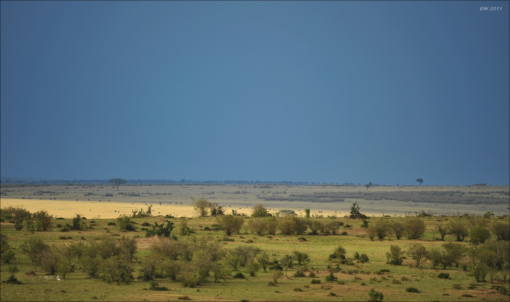 acomp Kenia 20111020 26592a