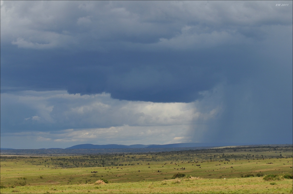 acomp Kenia 20111020 26829