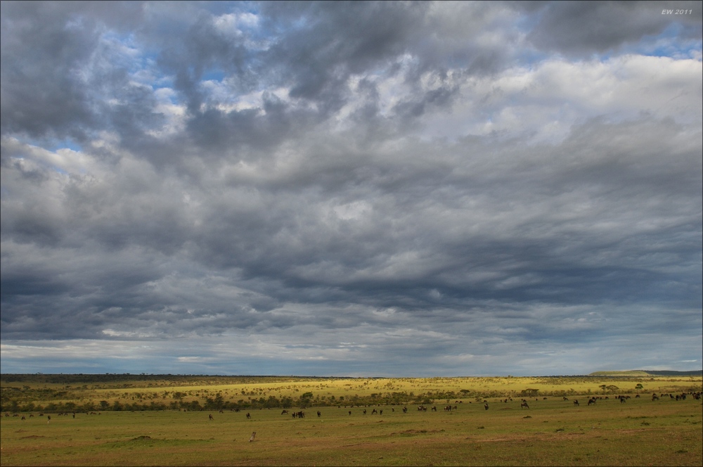 acomp Kenia 20111020 26958a