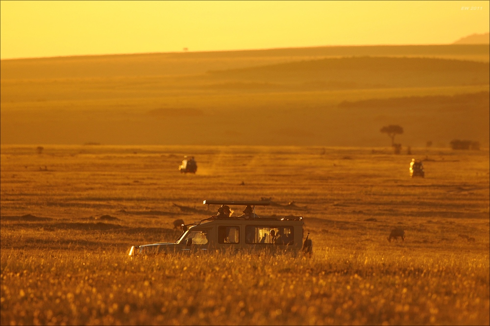 acomp Kenia 20111021 29145