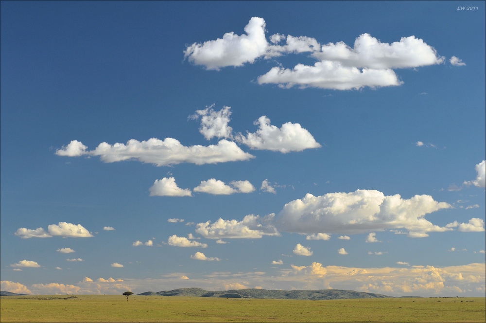 acomp Kenia 20111021 29258