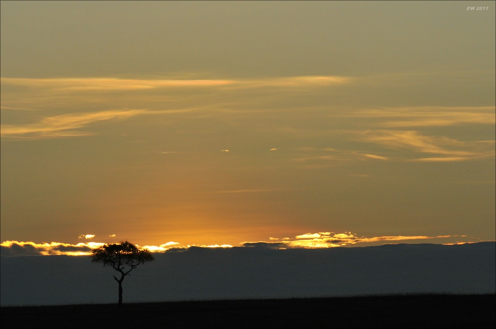 acomp Kenia 20111022 31001
