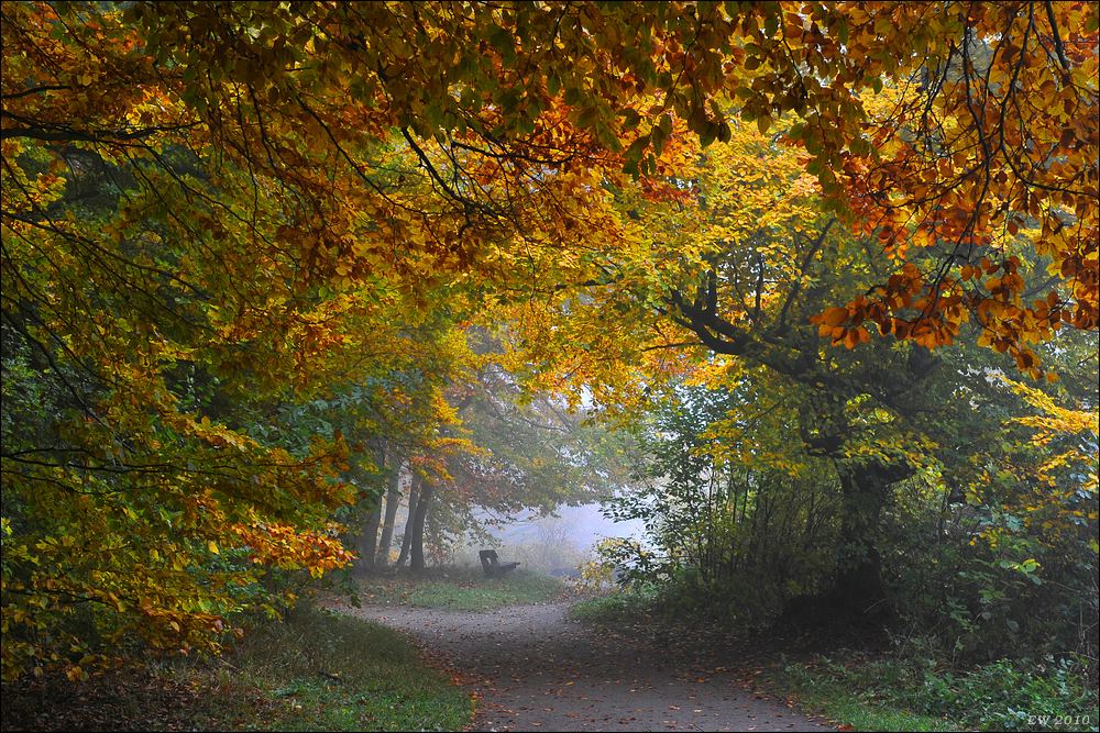 acomp nebel 0302a