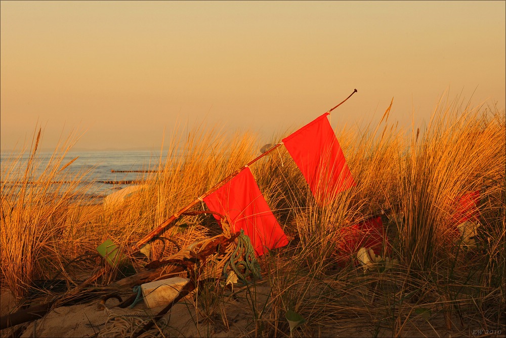 acomp usedom 1602