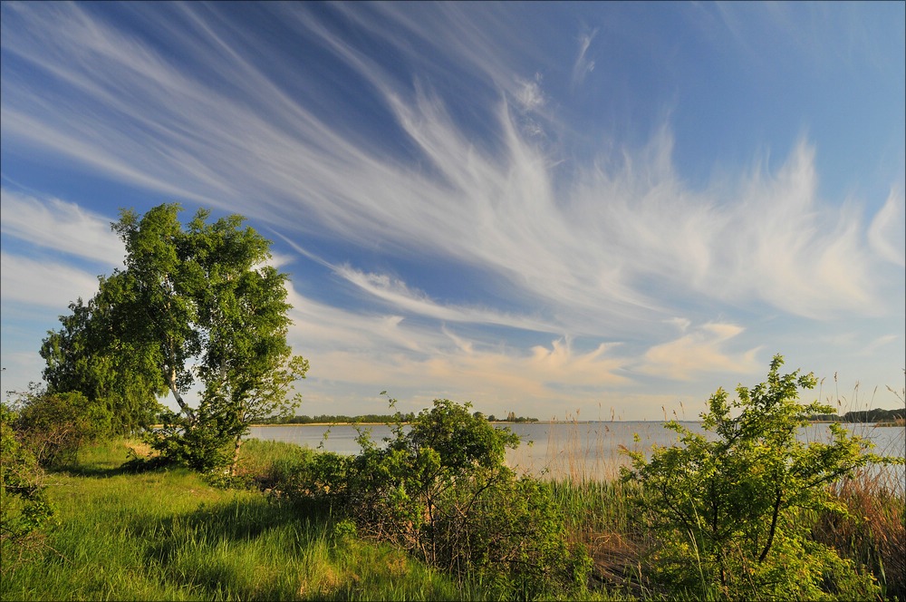acomp usedom 3237