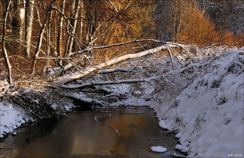 acomp winter rissen 0432