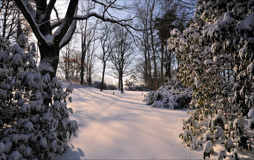 acomp winter rissen 0803