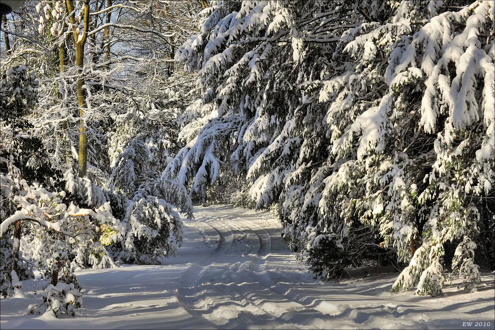 acomp winter rissen 0870